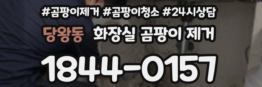 당왕동 화장실 곰팡이 제거