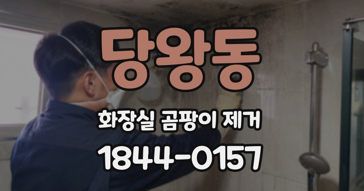당왕동 화장실 곰팡이 제거