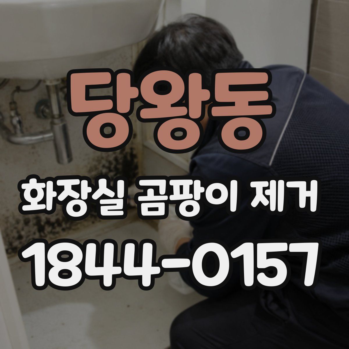 당왕동 화장실 곰팡이 제거