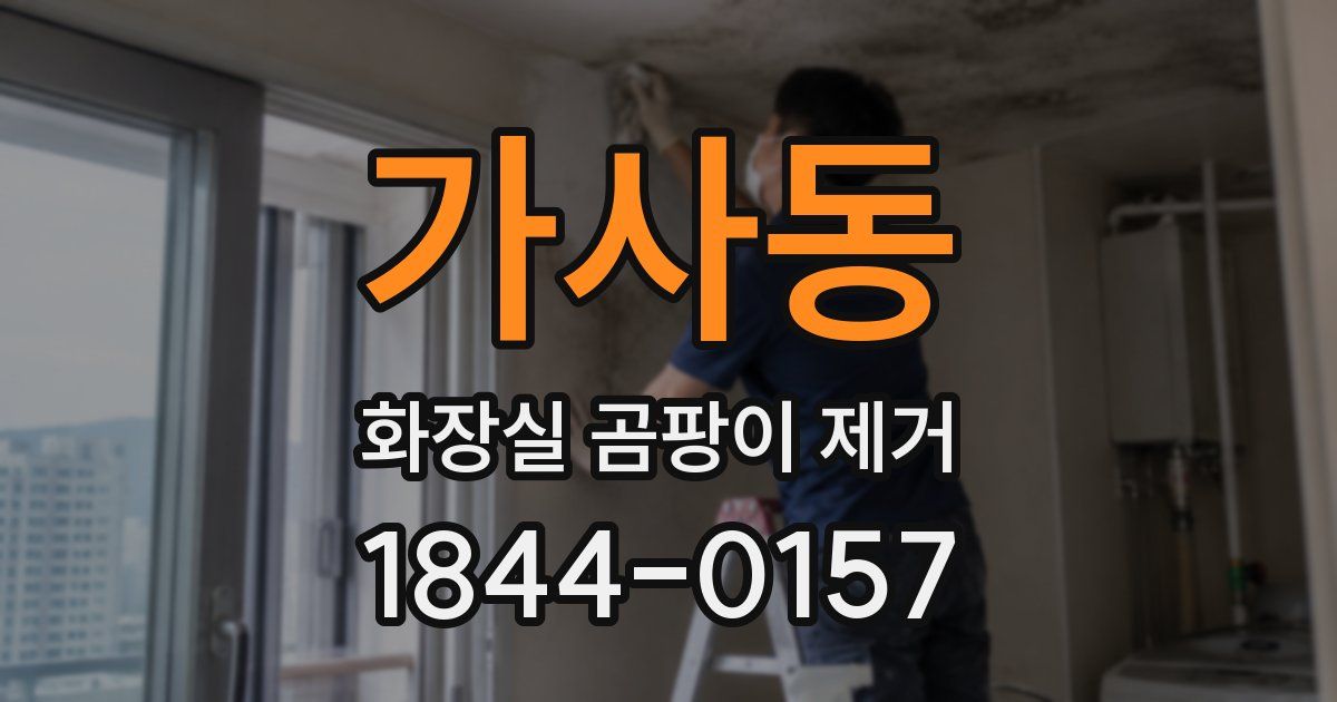 가사동 화장실 곰팡이 제거