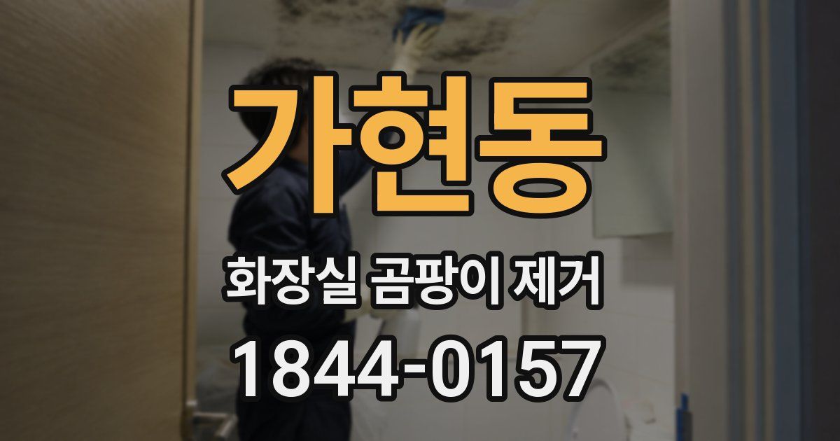 가현동 화장실 곰팡이 제거