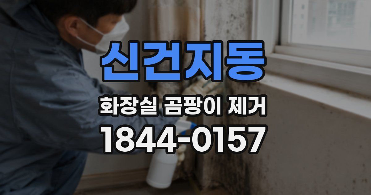 신건지동 화장실 곰팡이 제거
