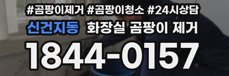 신건지동 화장실 곰팡이 제거