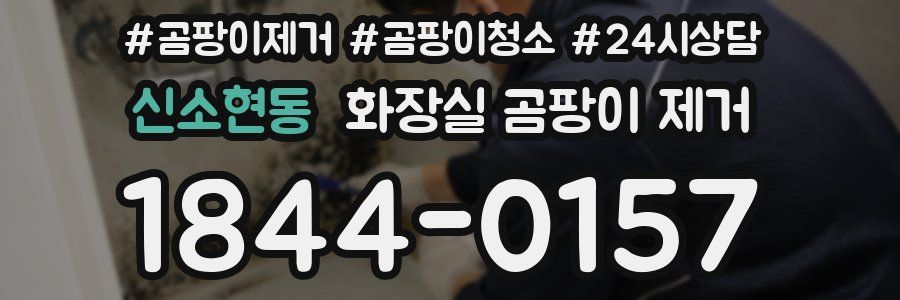신소현동 화장실 곰팡이 제거