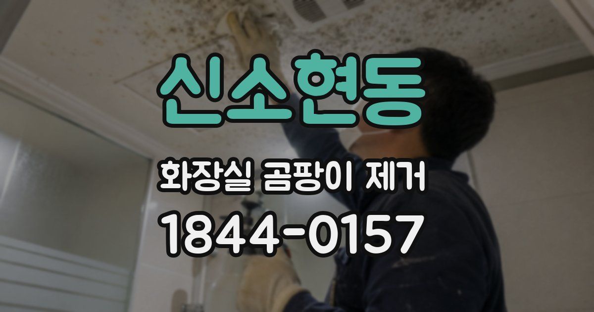 신소현동 화장실 곰팡이 제거