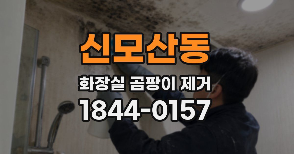 신모산동 화장실 곰팡이 제거