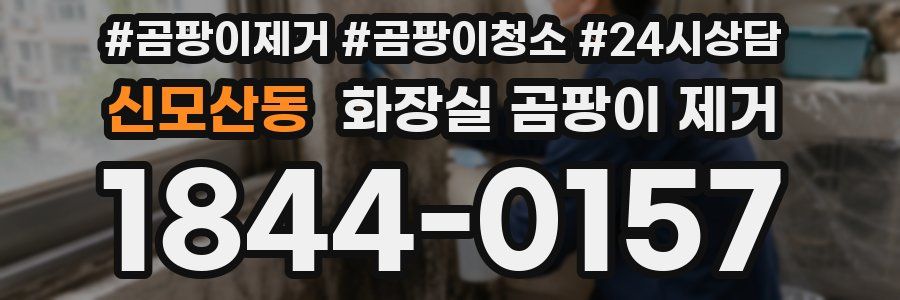 신모산동 화장실 곰팡이 제거