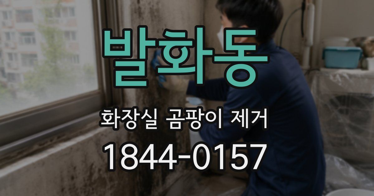 발화동 화장실 곰팡이 제거