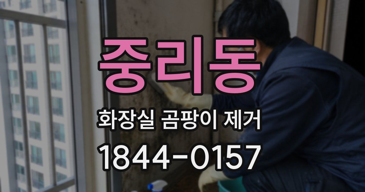 중리동 화장실 곰팡이 제거