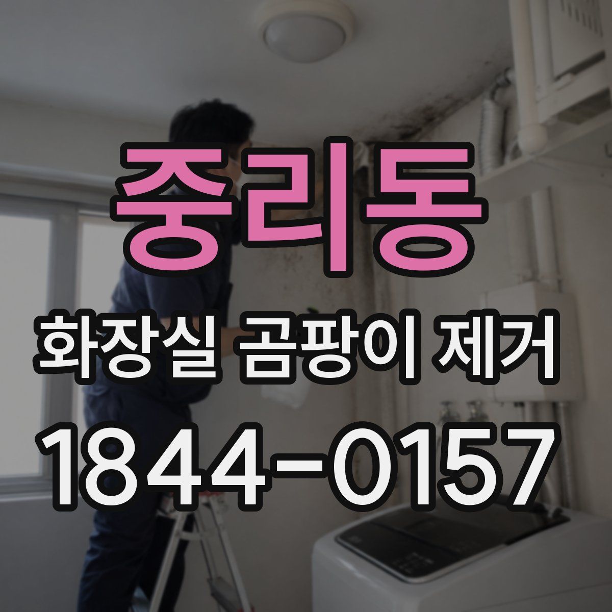 중리동 화장실 곰팡이 제거