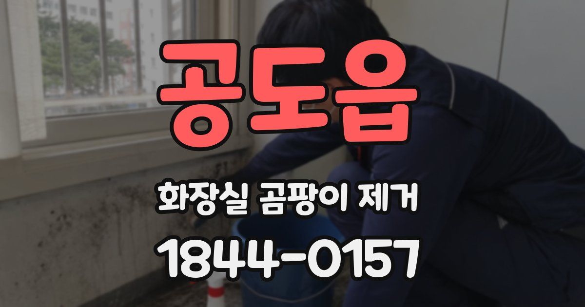 공도읍 화장실 곰팡이 제거