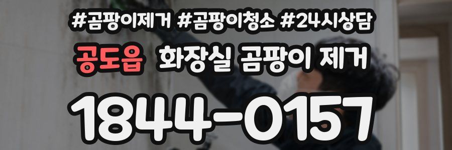 공도읍 화장실 곰팡이 제거