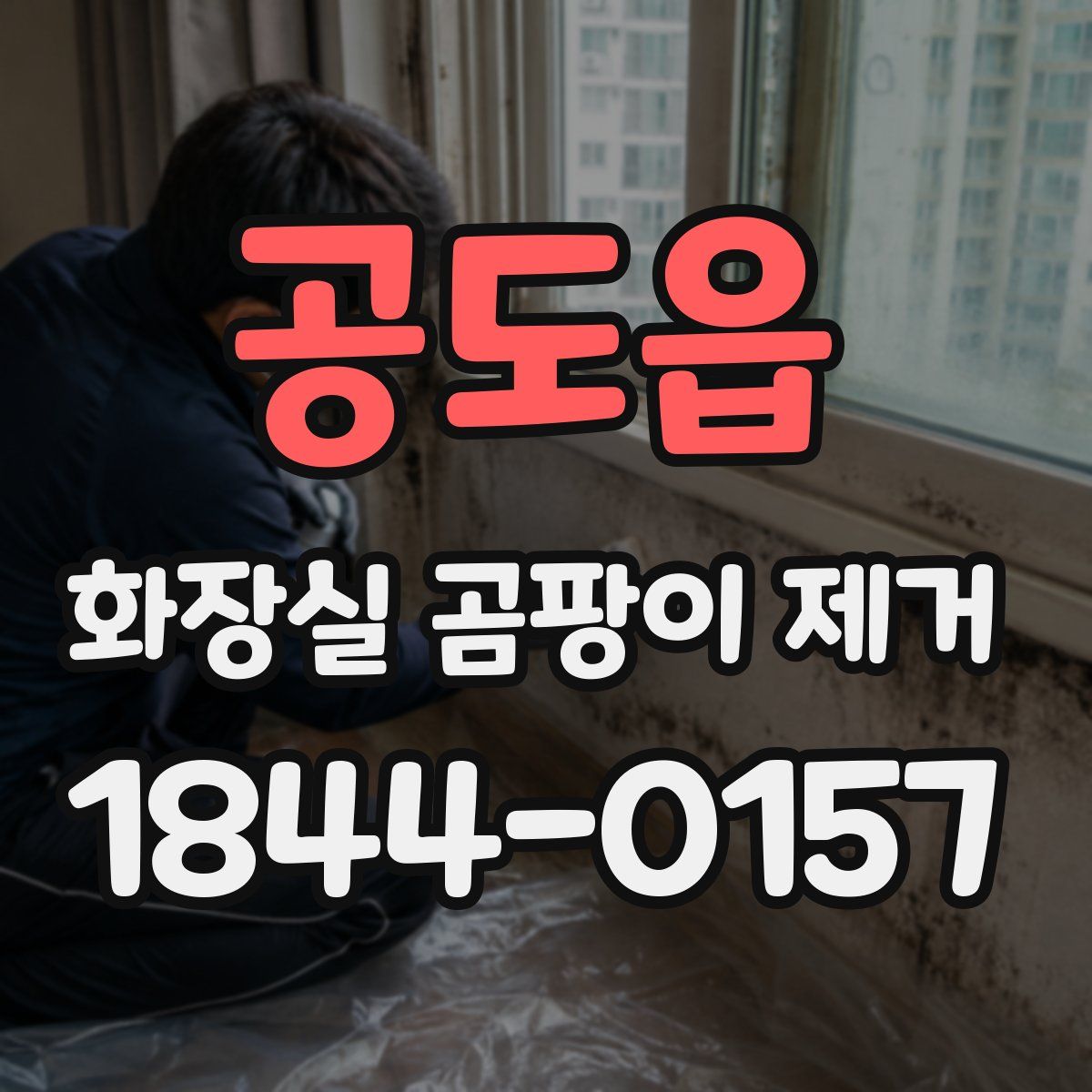 공도읍 화장실 곰팡이 제거