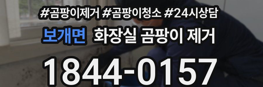 보개면 화장실 곰팡이 제거