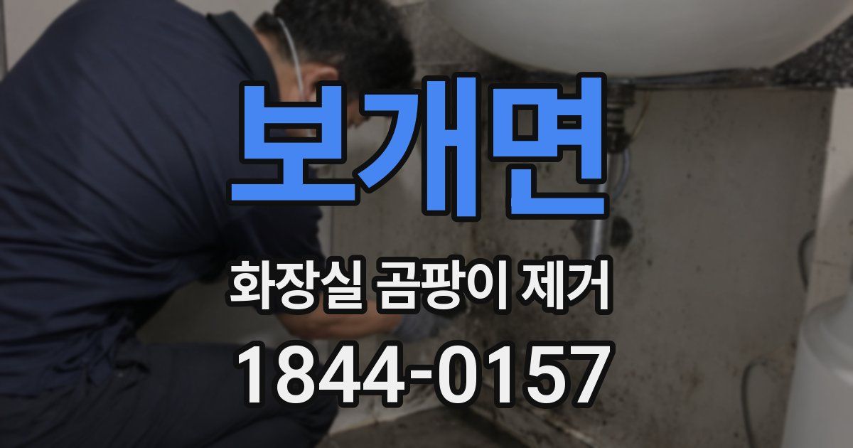 보개면 화장실 곰팡이 제거