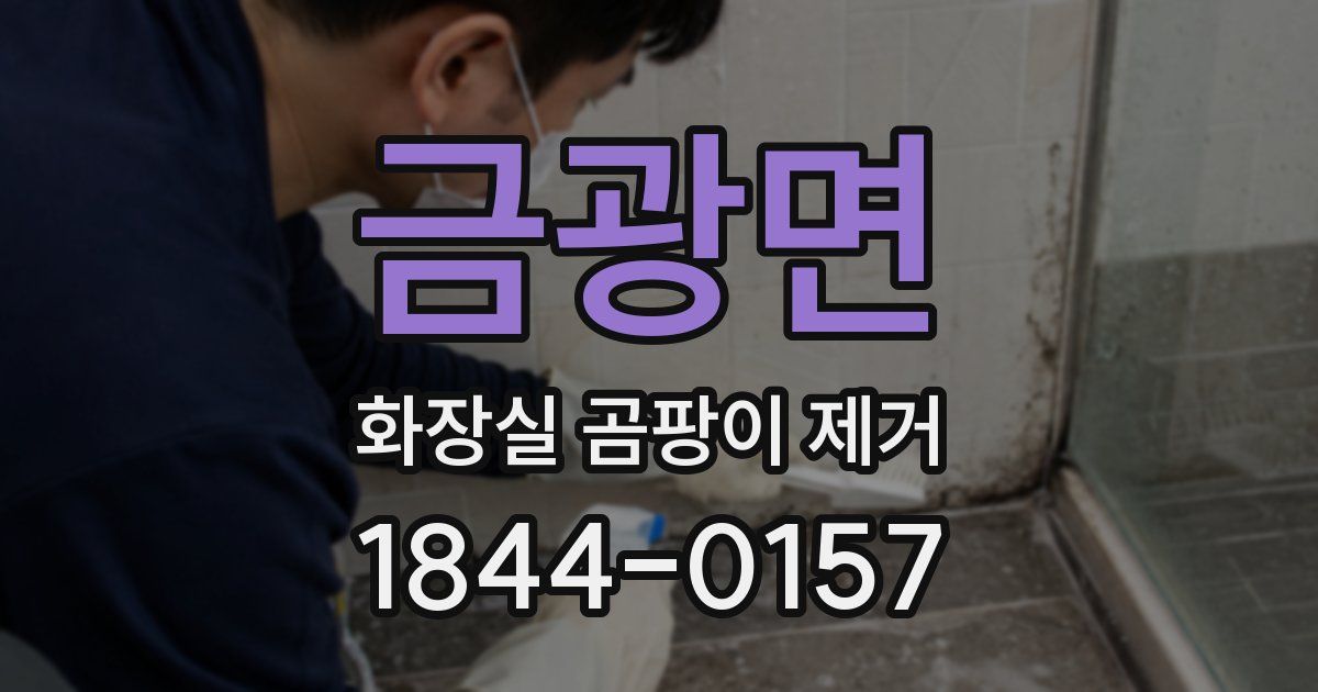 금광면 화장실 곰팡이 제거