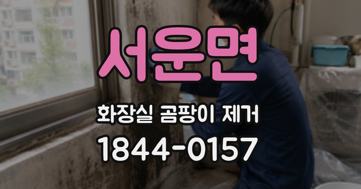 서운면 화장실 곰팡이 제거