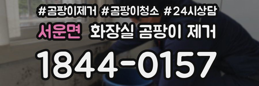 서운면 화장실 곰팡이 제거