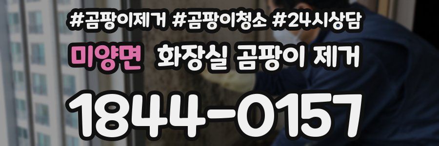 미양면 화장실 곰팡이 제거