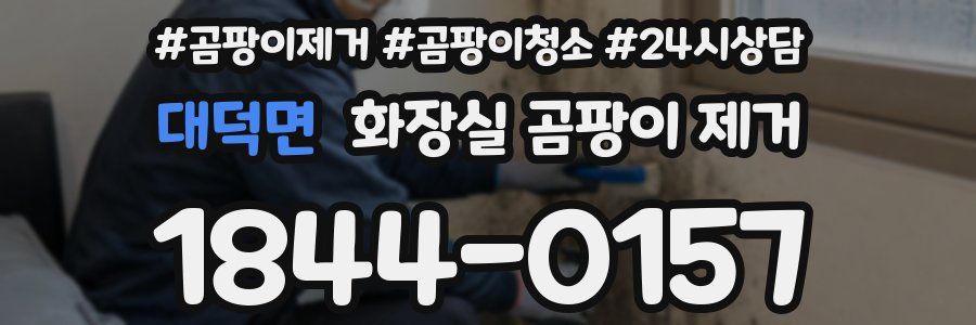 대덕면 화장실 곰팡이 제거