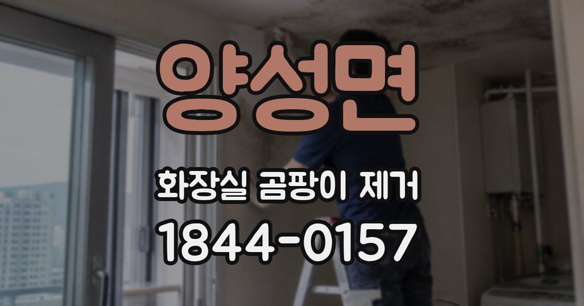 양성면 화장실 곰팡이 제거