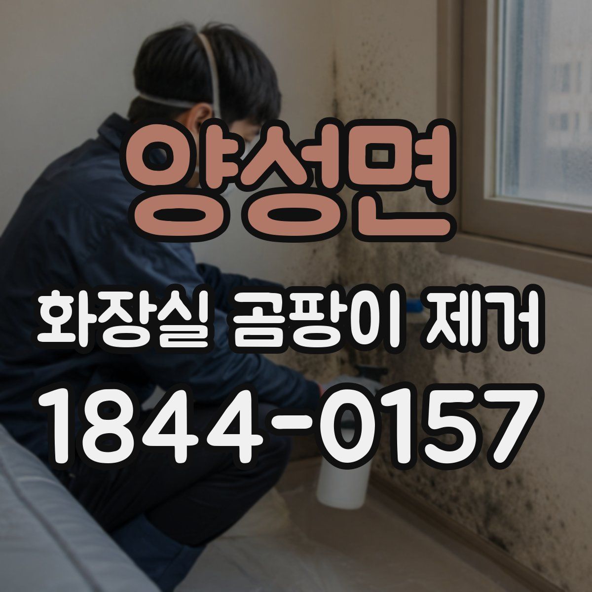 양성면 화장실 곰팡이 제거