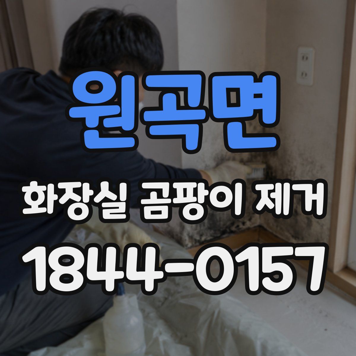 원곡면 화장실 곰팡이 제거