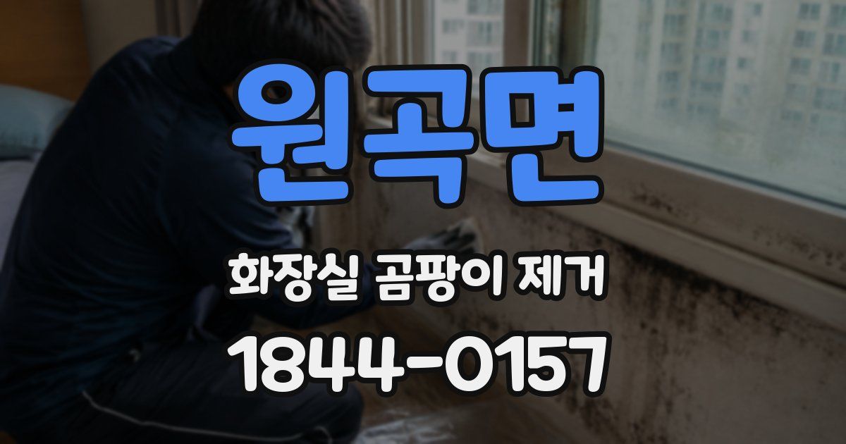 원곡면 화장실 곰팡이 제거