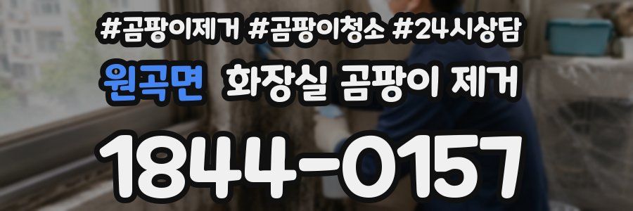 원곡면 화장실 곰팡이 제거