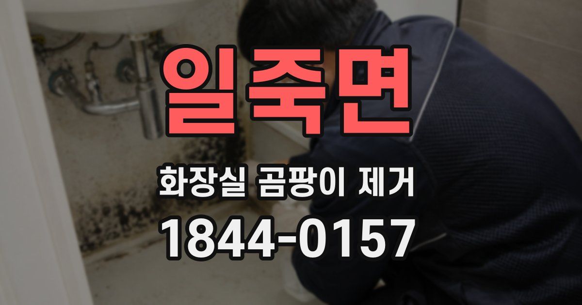 일죽면 화장실 곰팡이 제거