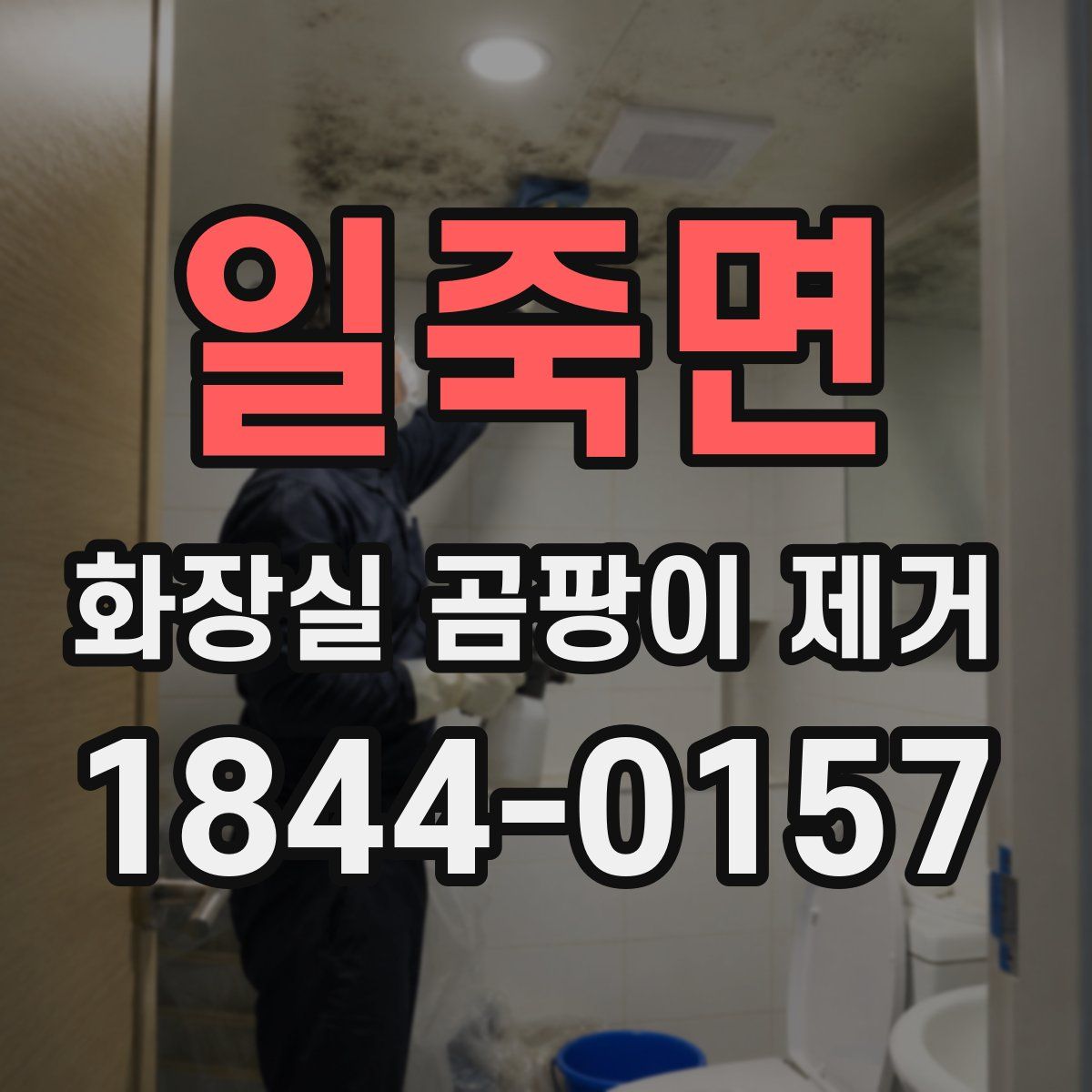 일죽면 화장실 곰팡이 제거