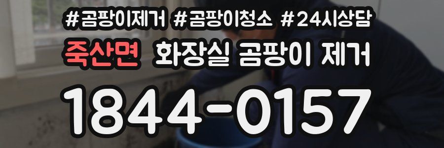 죽산면 화장실 곰팡이 제거