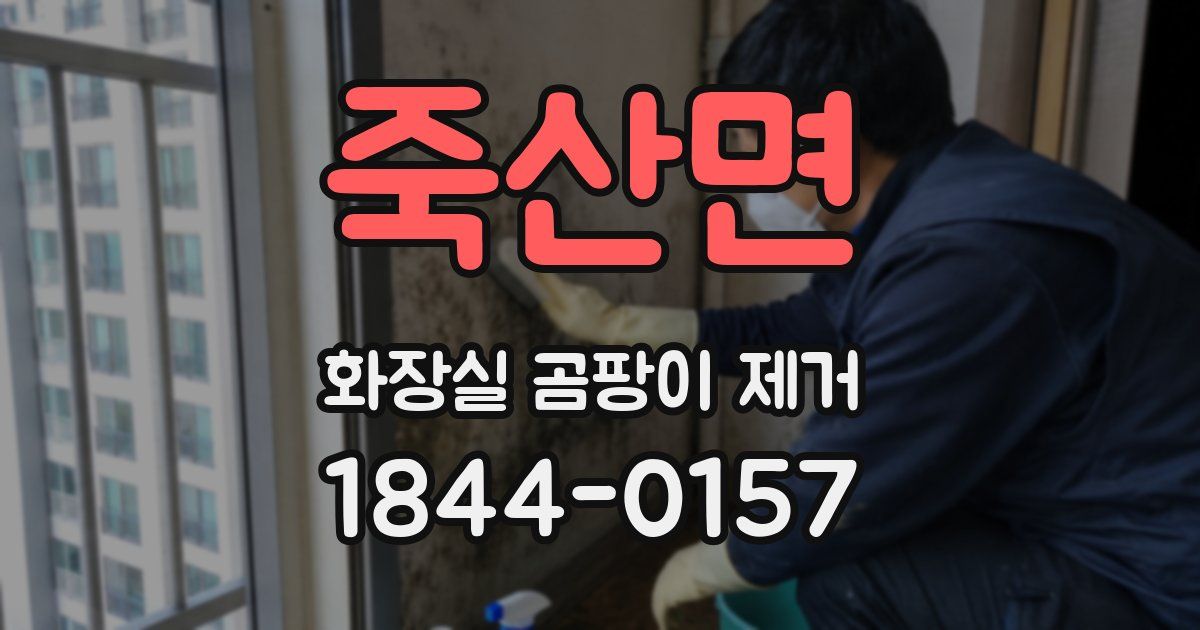 죽산면 화장실 곰팡이 제거