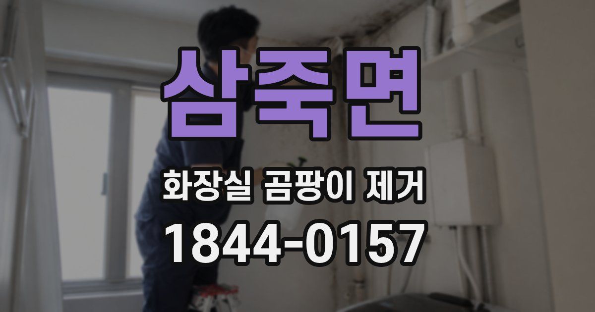 삼죽면 화장실 곰팡이 제거