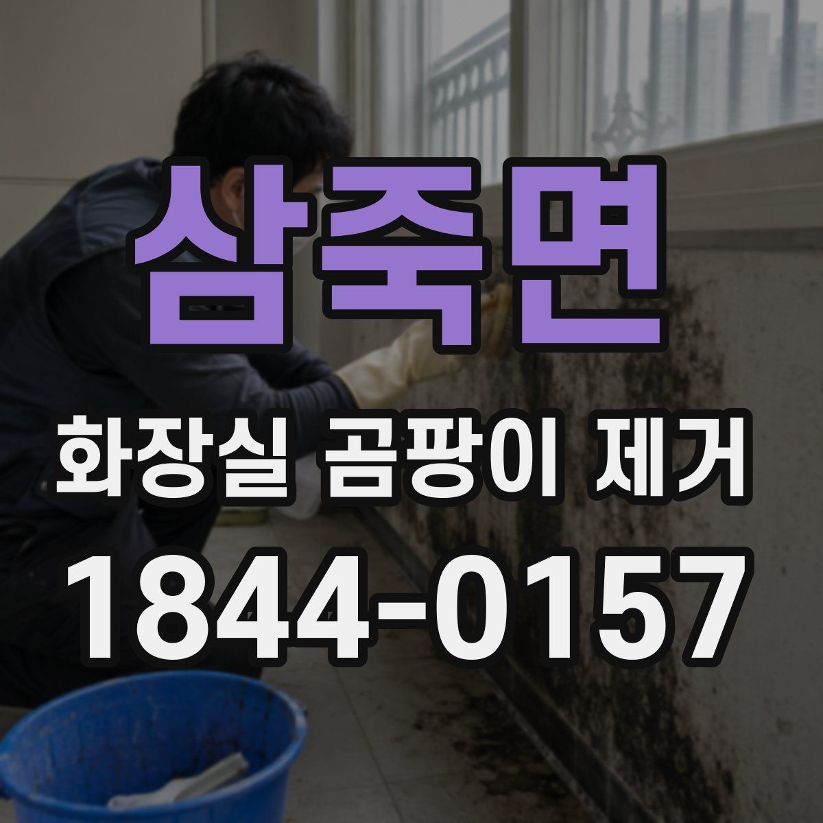 삼죽면 화장실 곰팡이 제거