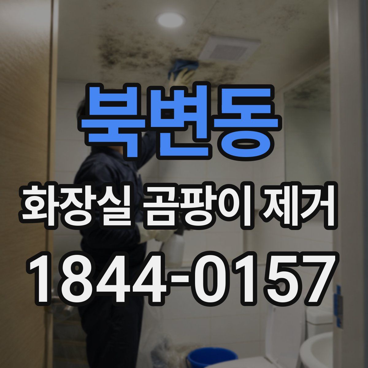 북변동 화장실 곰팡이 제거