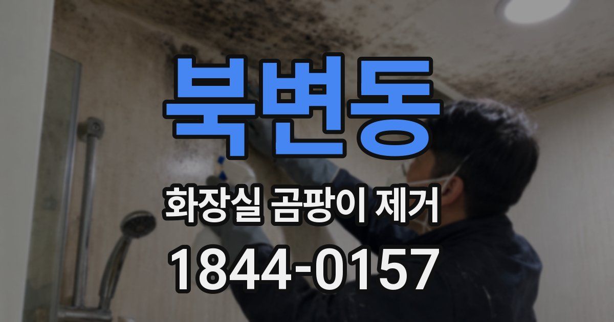 북변동 화장실 곰팡이 제거