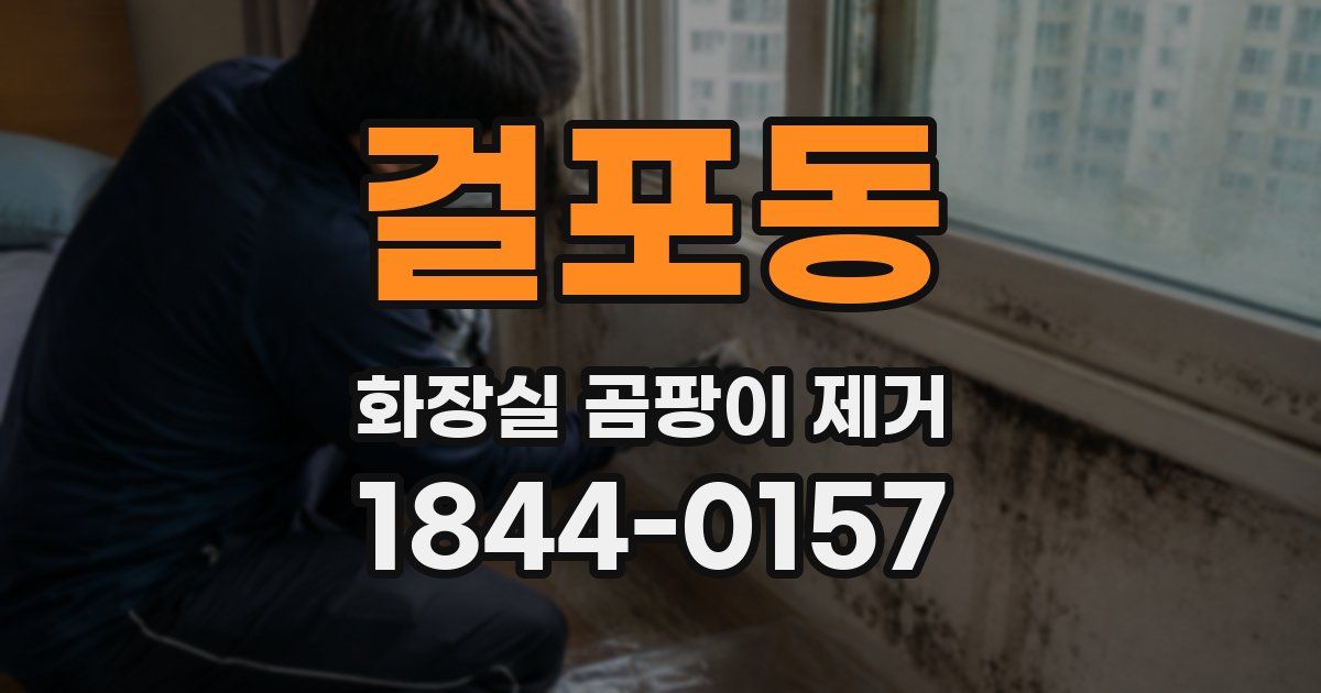 걸포동 화장실 곰팡이 제거