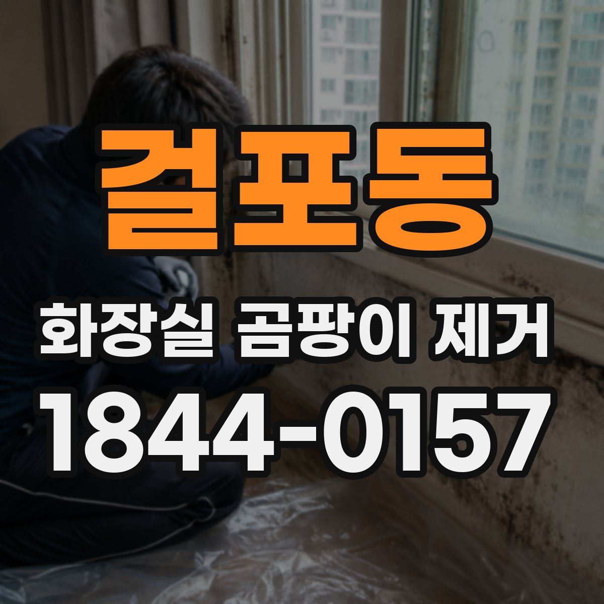 걸포동 화장실 곰팡이 제거