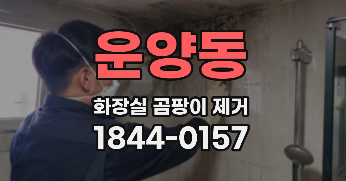 운양동 화장실 곰팡이 제거