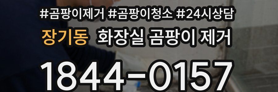 장기동 화장실 곰팡이 제거