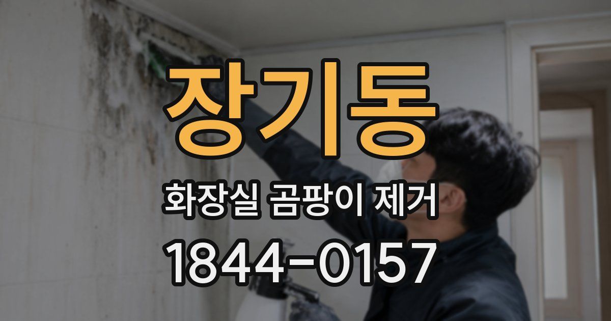장기동 화장실 곰팡이 제거