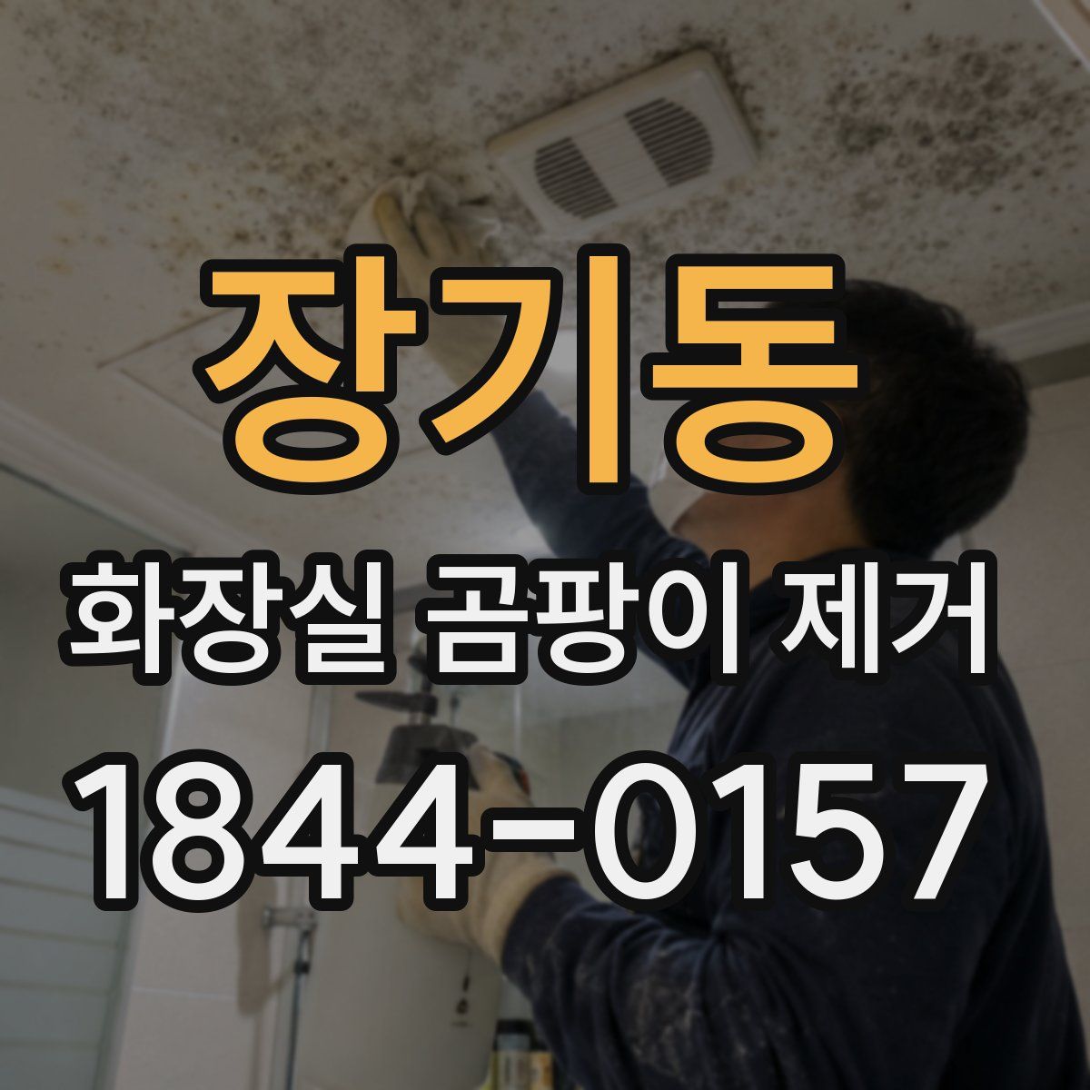 장기동 화장실 곰팡이 제거