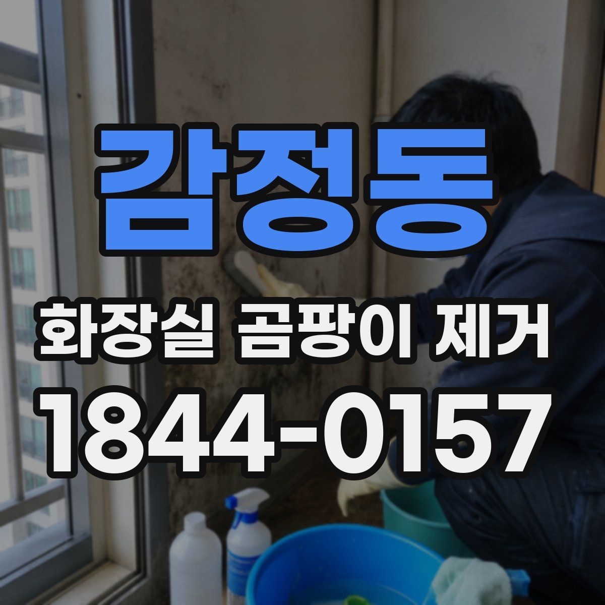 감정동 화장실 곰팡이 제거
