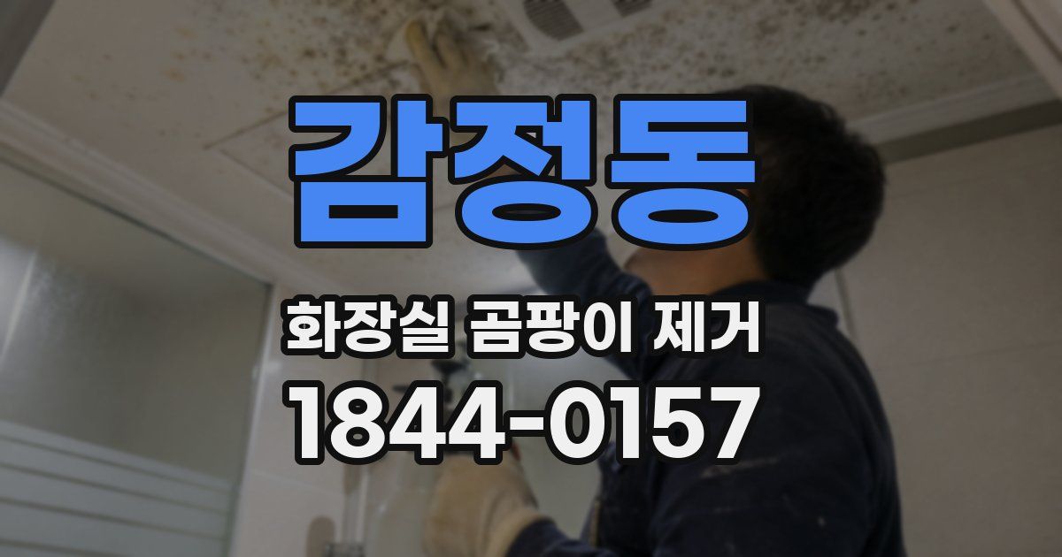감정동 화장실 곰팡이 제거