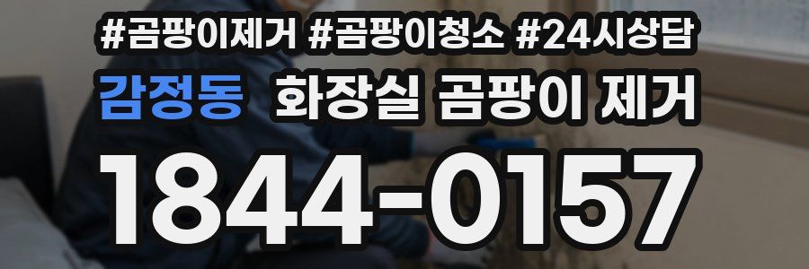 감정동 화장실 곰팡이 제거