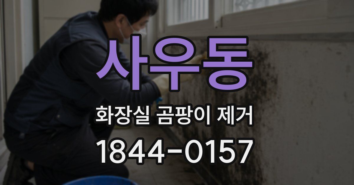 사우동 화장실 곰팡이 제거