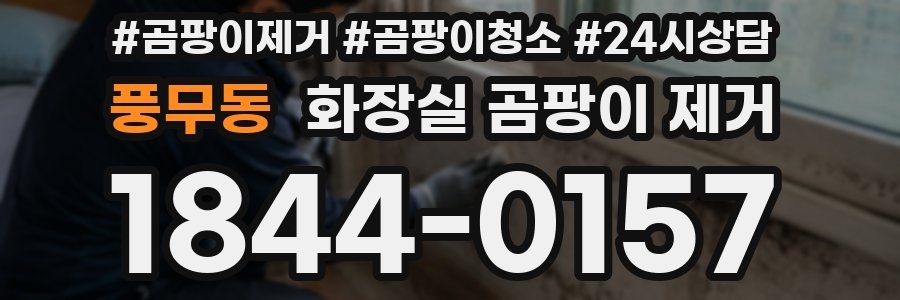 풍무동 화장실 곰팡이 제거