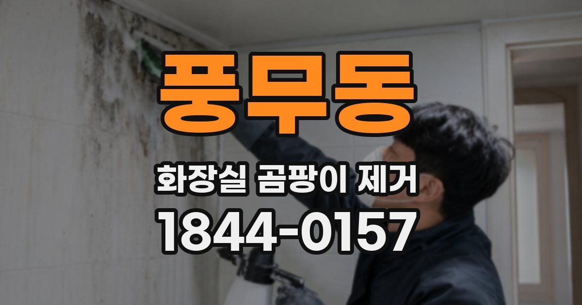 풍무동 화장실 곰팡이 제거