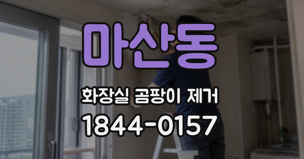 마산동 화장실 곰팡이 제거